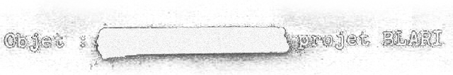 Логотип projet BLARI