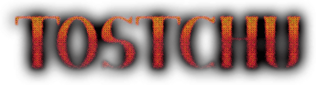 Логотип Tostchu