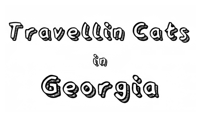 Логотип Cats Hidden in Georgia
