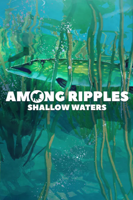 Among Ripples: Shallow Waters