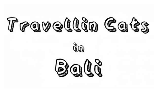 Логотип Cats Hidden in Bali