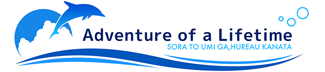 Логотип Adventure of a Lifetime