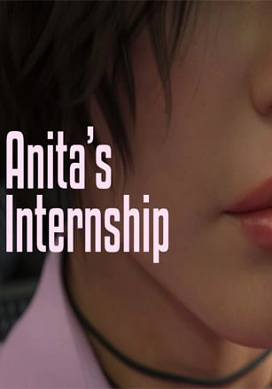 Anita's Internship
