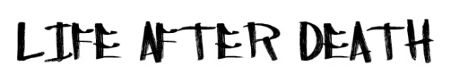 Логотип Life after Death