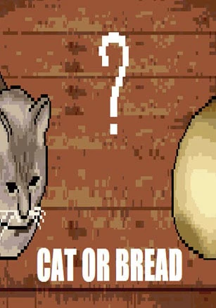 Cat or Bread?