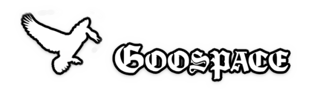 Логотип Goospace