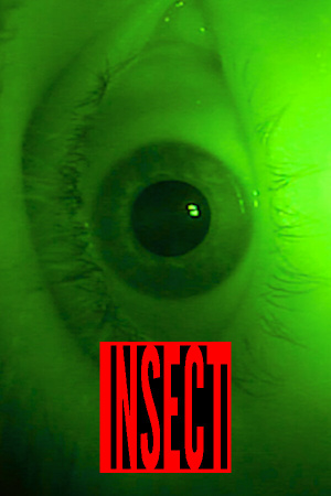 INSECT (bullet hell)