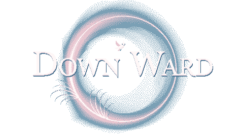 Логотип Down Ward