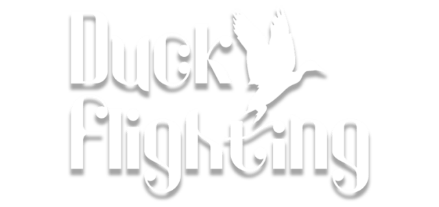 Логотип Duck Flight Simulator 2021