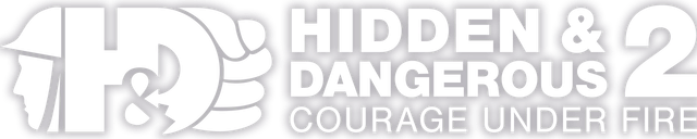 Логотип Hidden & Dangerous 2: Sabre Squadron