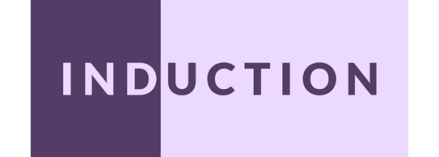 Логотип Induction