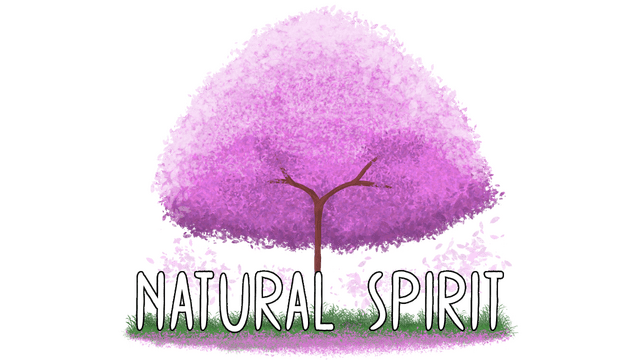 Логотип Natural Spirit
