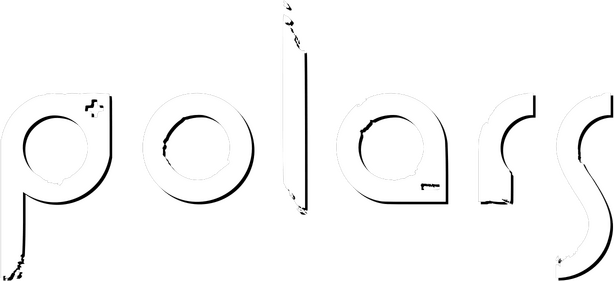 Логотип Polars
