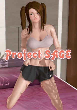 Project SAGE