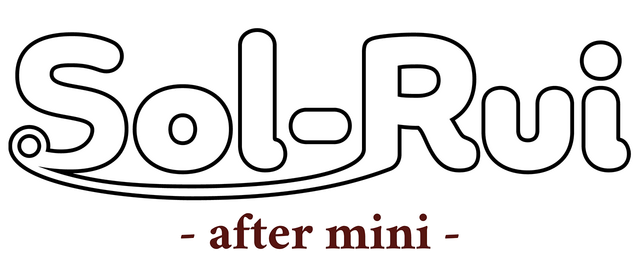 Логотип Sol-Rui -after mini-