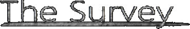 Логотип The Survey