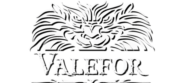 Логотип Valefor