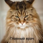 TvoyBatya